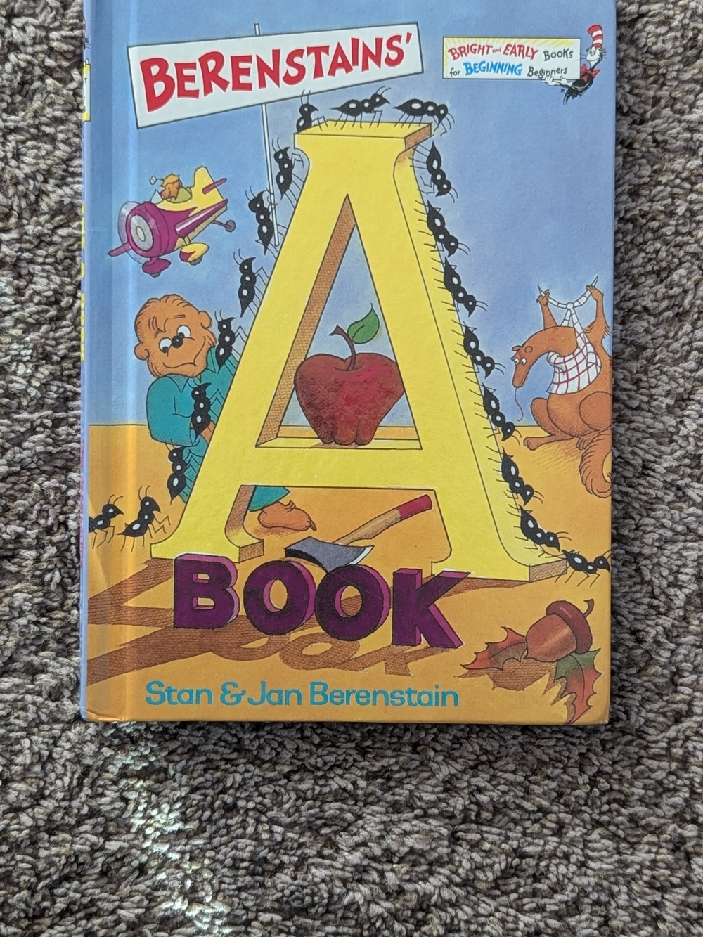 Berenstains' A Book by Stan & Jan Berenstain Hardcover